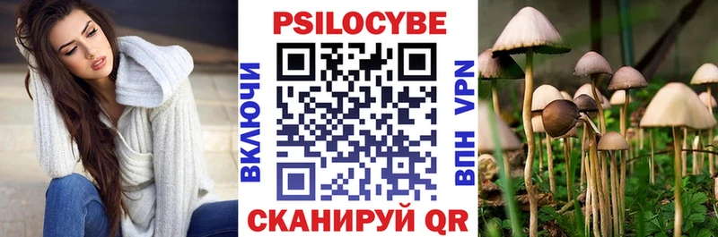 Галлюциногенные грибы MAGIC MUSHROOMS  OMG как войти  Обнинск 