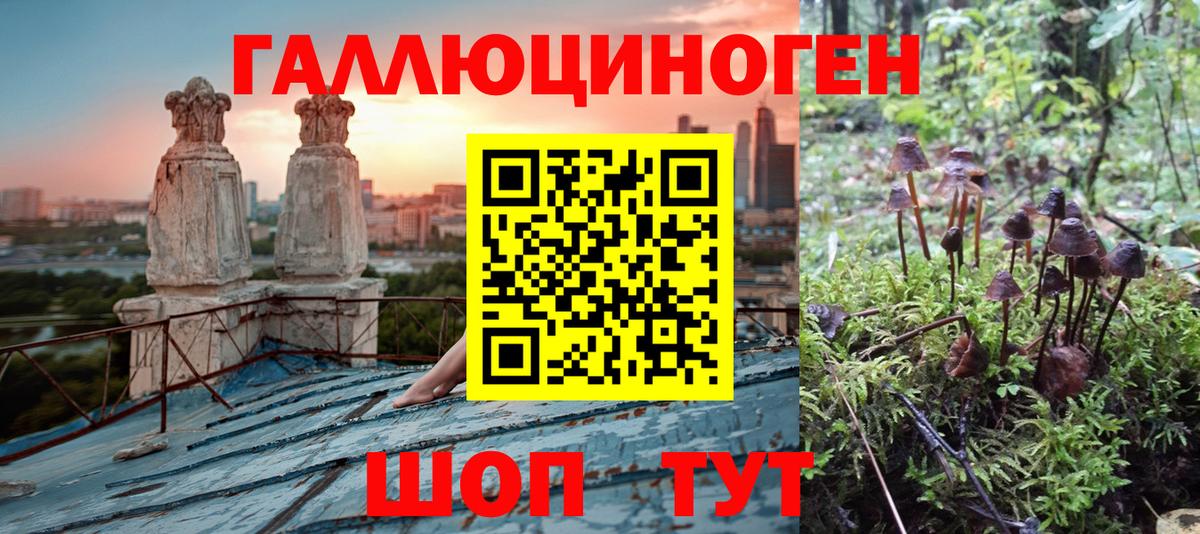 Обнинск  Галлюциногенные грибы MAGIC MUSHROOMS  Вход с VPN  Галлюциногенные грибы прущие грибы 