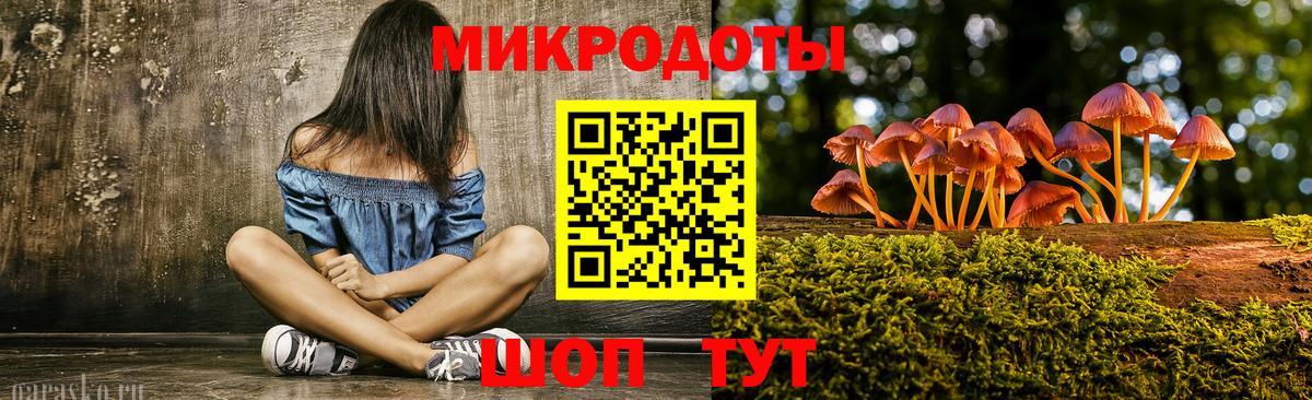 Галлюциногенные грибы мицелий Обнинск